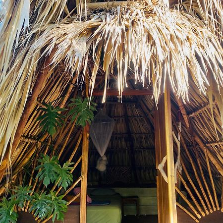 Calypso Cabanas El Paredón Buena Vista Dış mekan fotoğraf