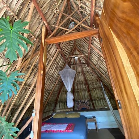 Calypso Cabanas El Paredón Buena Vista Dış mekan fotoğraf