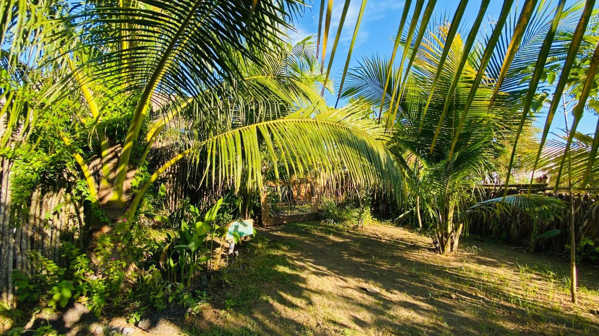 Calypso Cabanas El Paredón Buena Vista Dış mekan fotoğraf