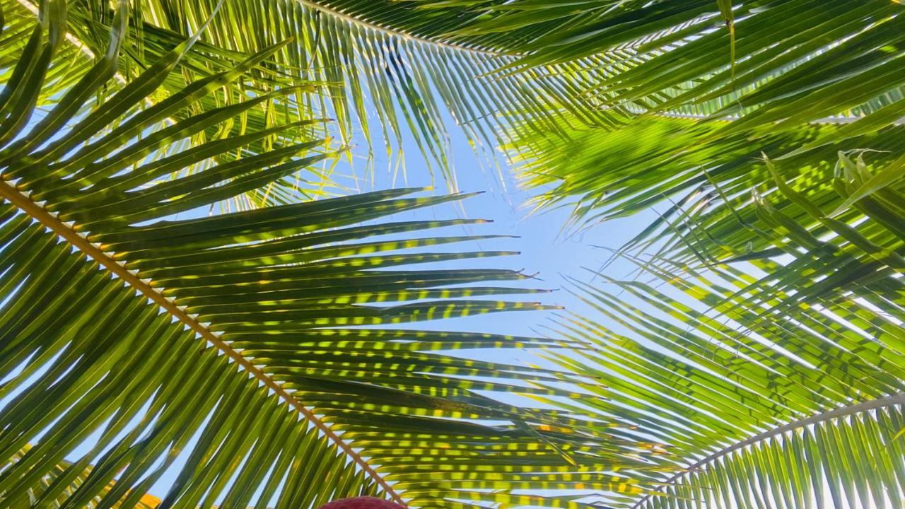 Calypso Cabanas El Paredón Buena Vista Dış mekan fotoğraf