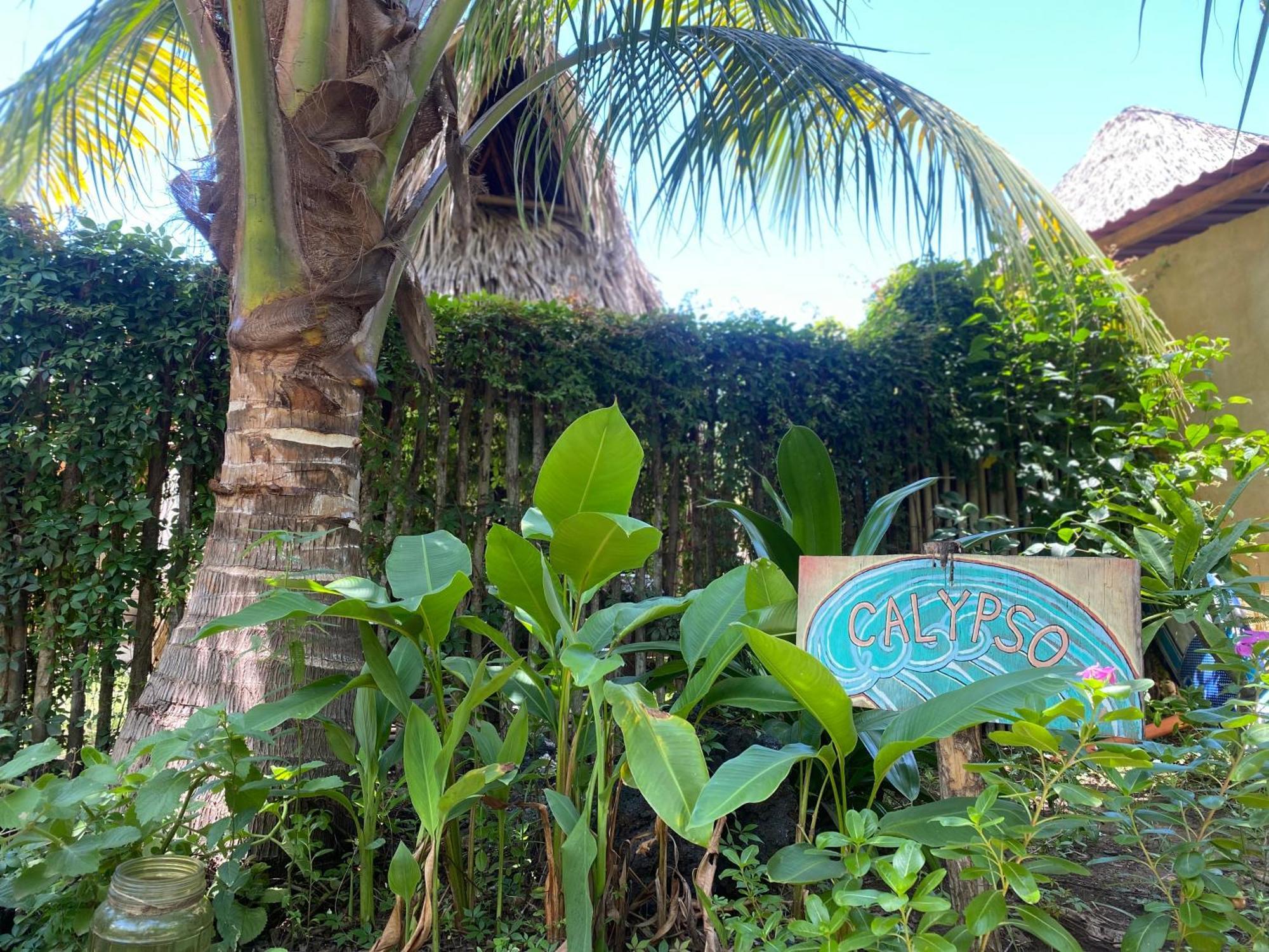 Calypso Cabanas El Paredón Buena Vista Dış mekan fotoğraf